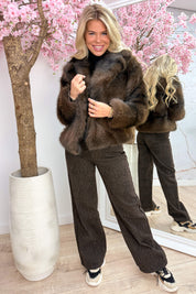 So fluffy in stripes coat - Bruin