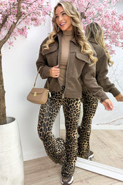 My favorite teddy jacket - Bruin