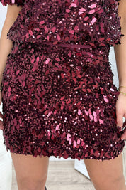 Party season velvet skirt - Bordeaux