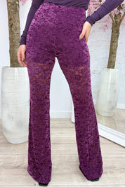 Velvet lace flair pants - Berry purple